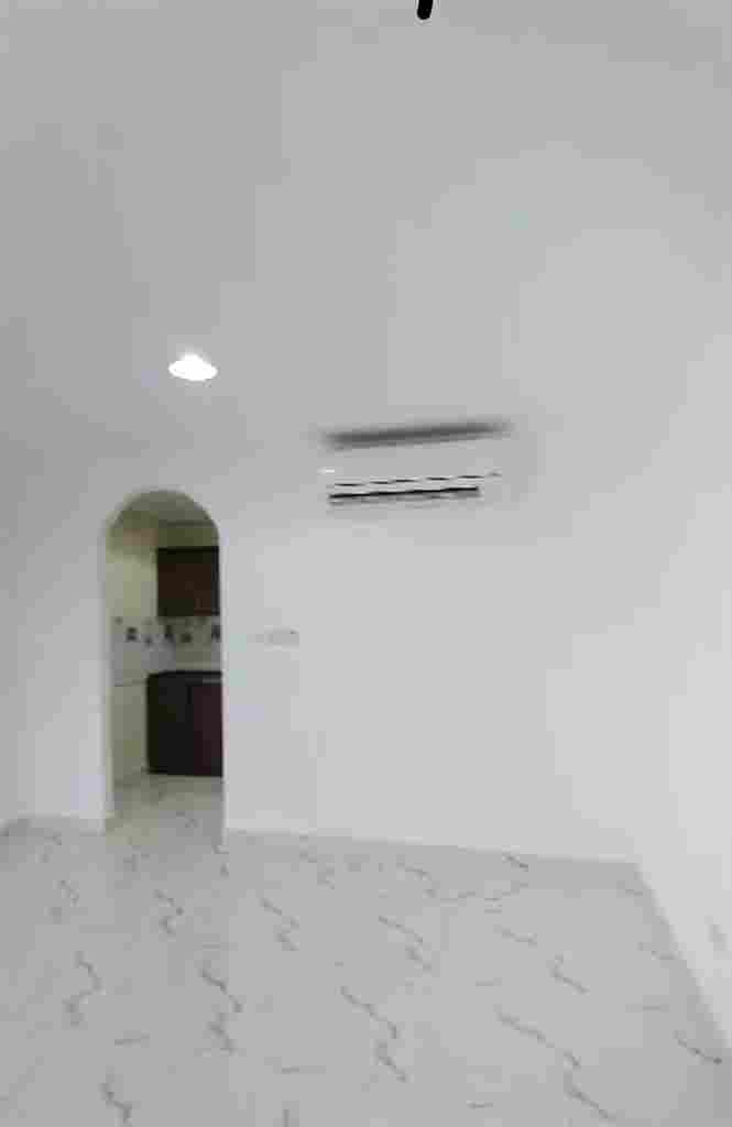 Looking for roommate (male / female