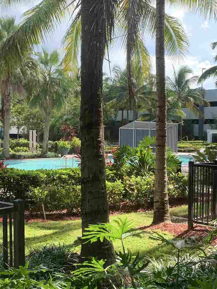 Looking for roommate for Oct/Nov