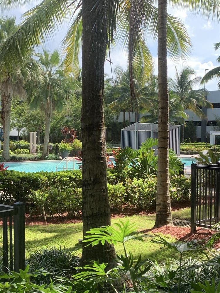 Looking for roommate for Oct/Nov