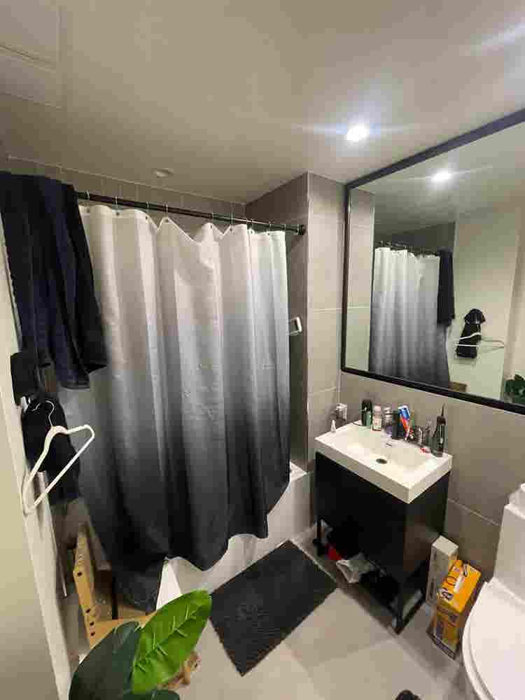 Looking for a new roomate