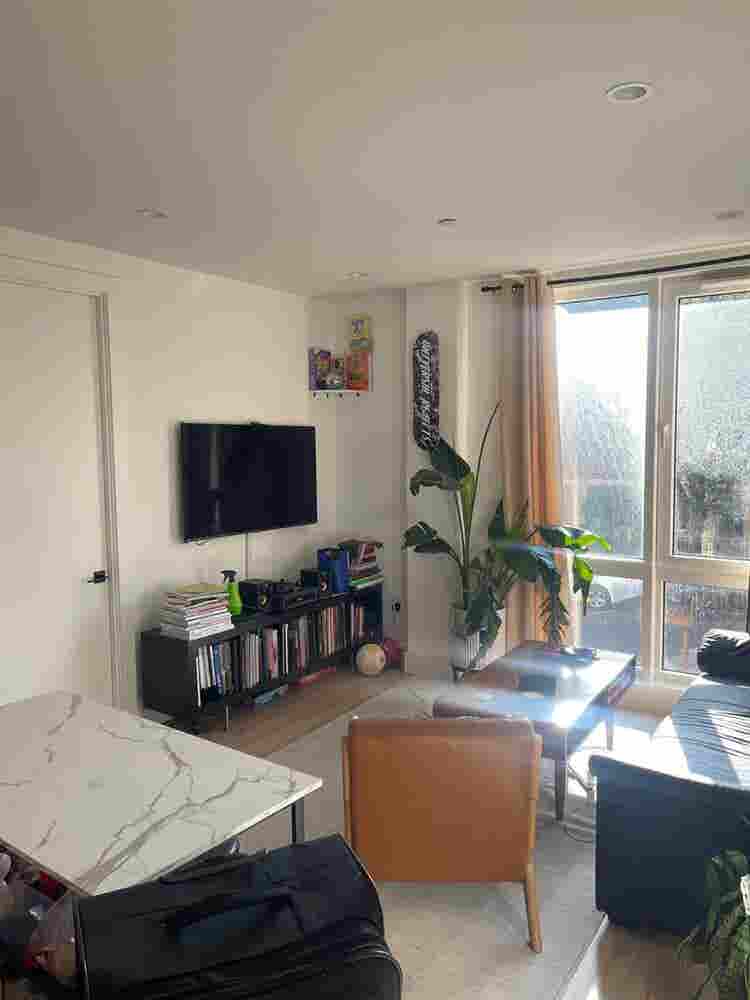 Looking for a new roomate