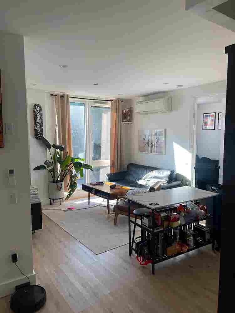 Looking for a new roomate