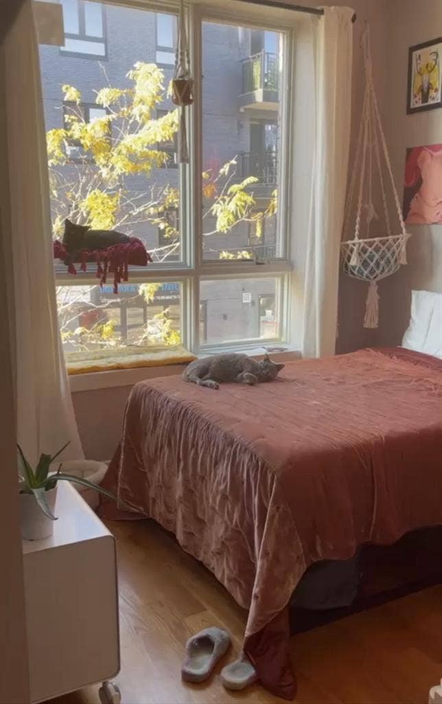 Room in bushwick for rent $