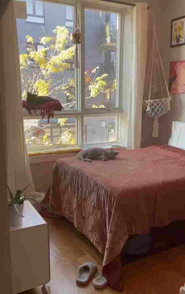Room in bushwick for rent $
