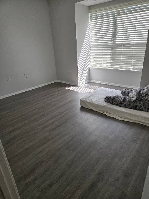Looking for roommate