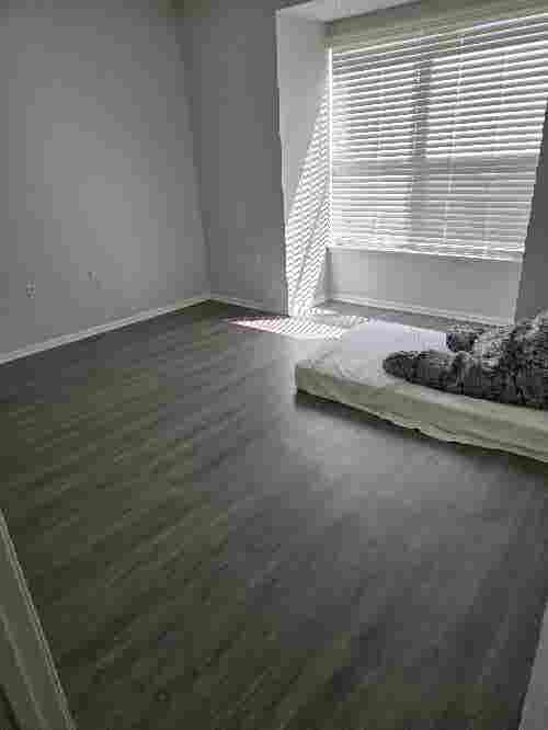 Looking for roommate