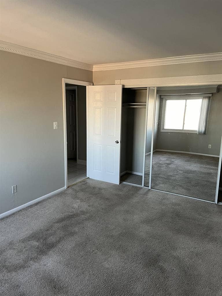 Amazing Room for Rent!