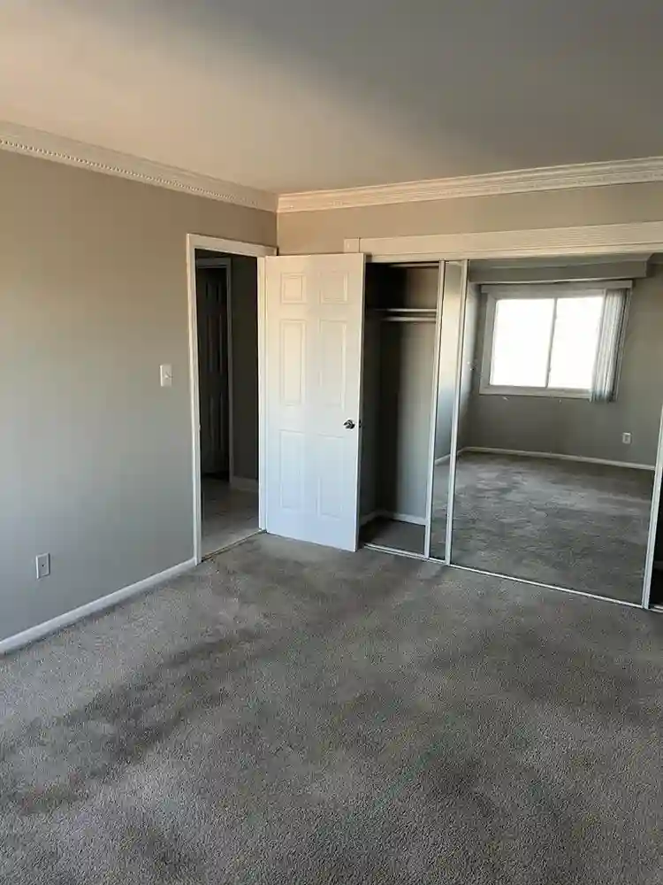 Amazing Room for Rent!