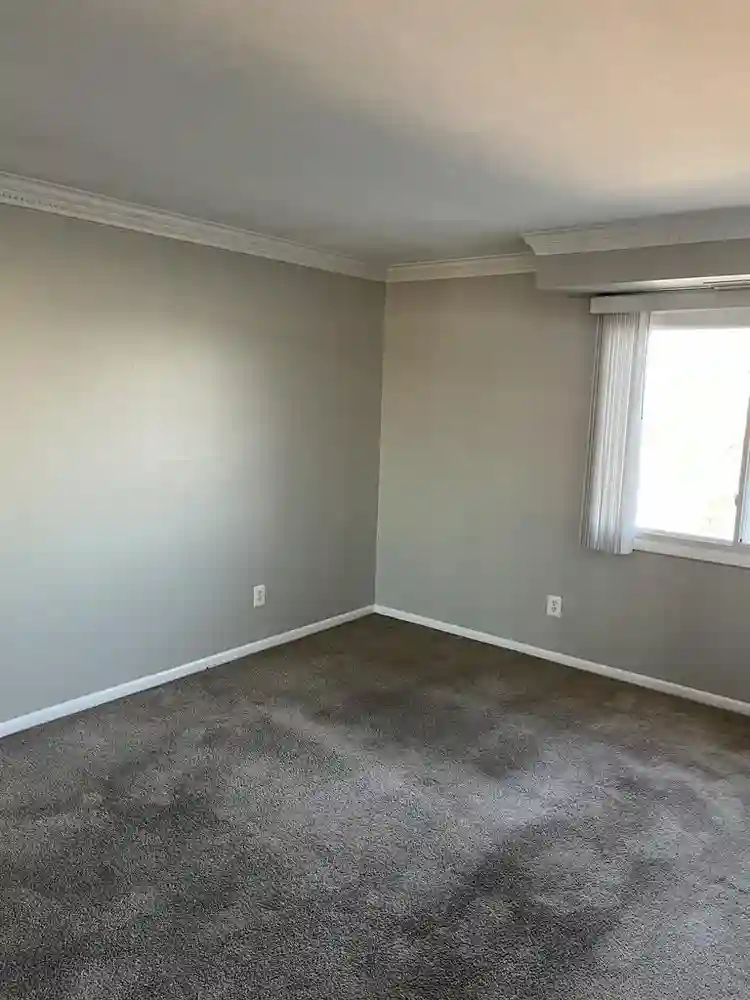 Amazing Room for Rent!