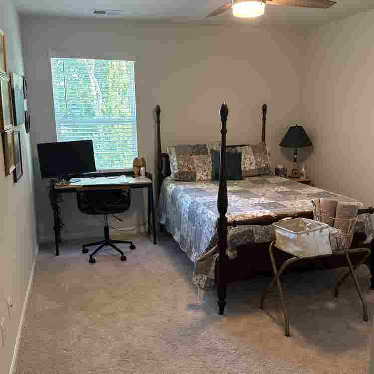 Roommate wanted