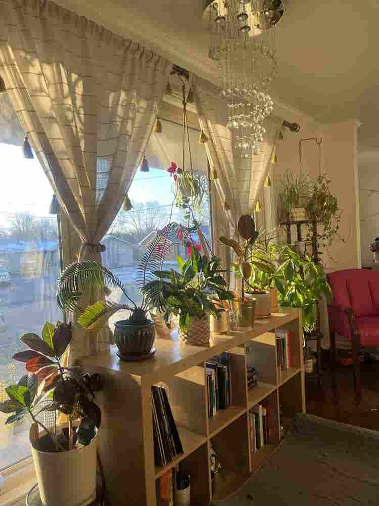 New Listing