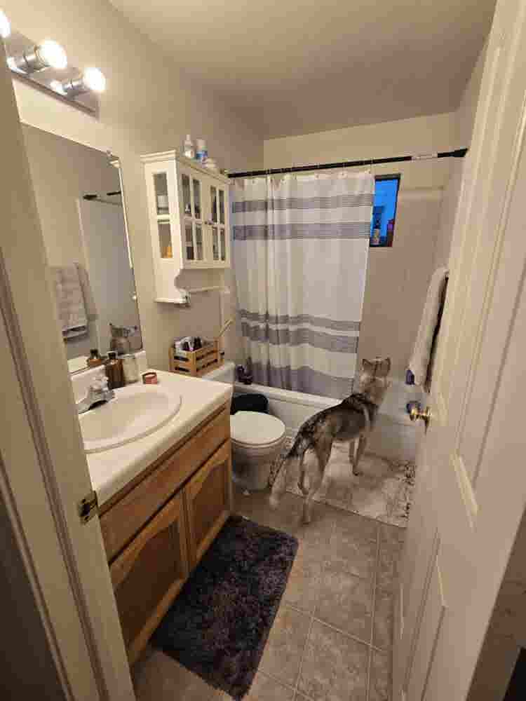 Room for rent in nice neighborhood.