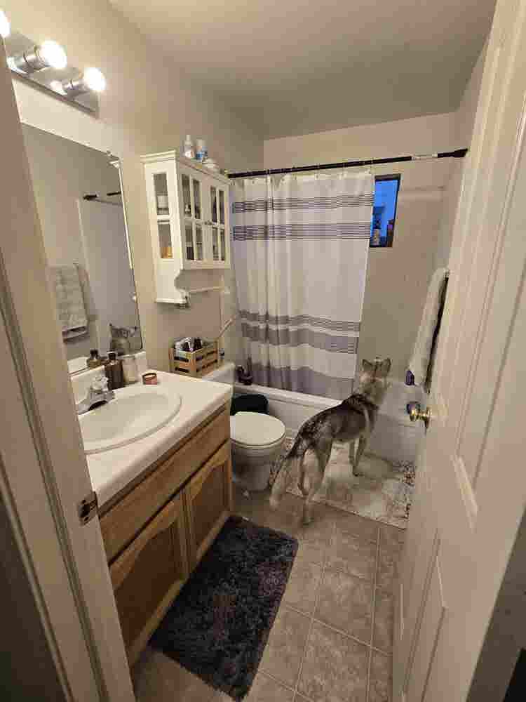 Room available
