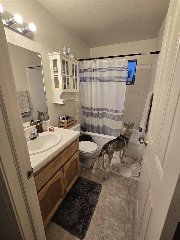 Room available