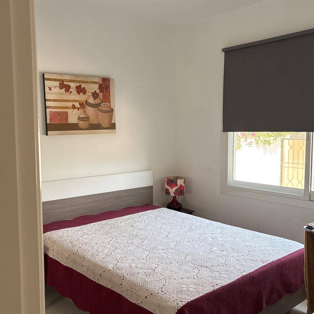 Room for rent!