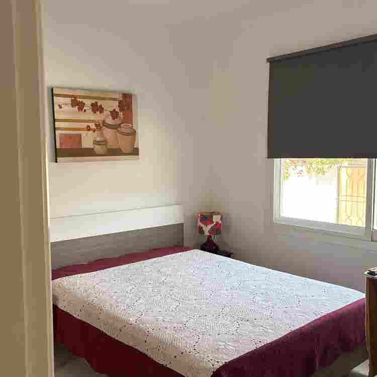 Room for rent!