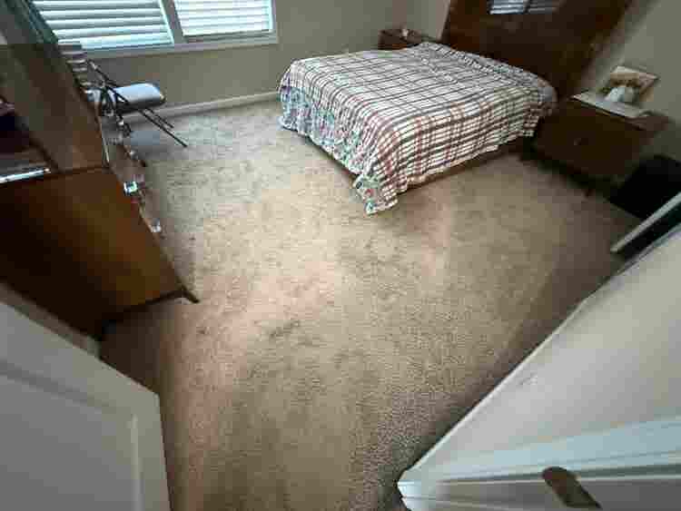 5 BR in Charlotte