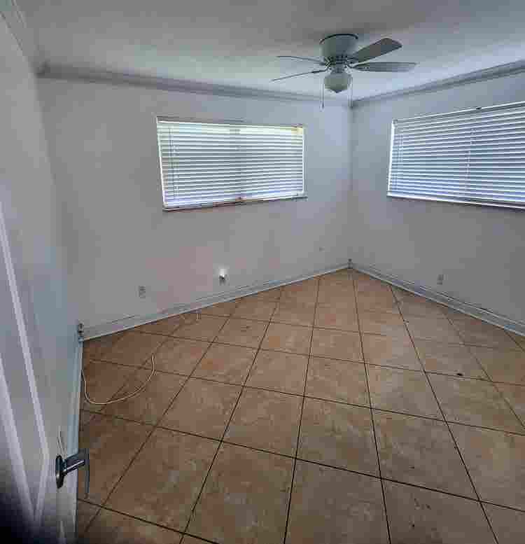 Female roommate needed