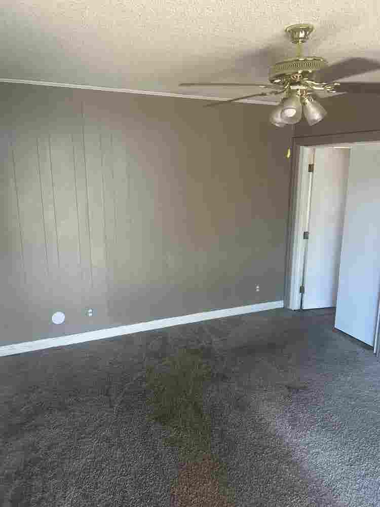 Room Available in 4 Bedroom house