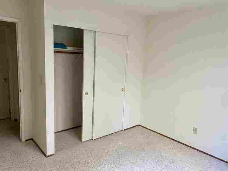 Looking for Female roomate