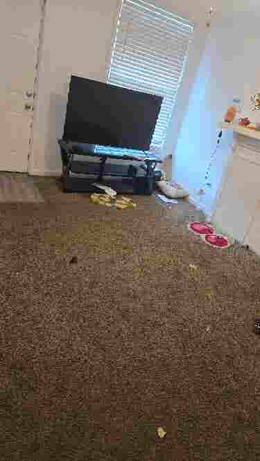 Need a roomate!