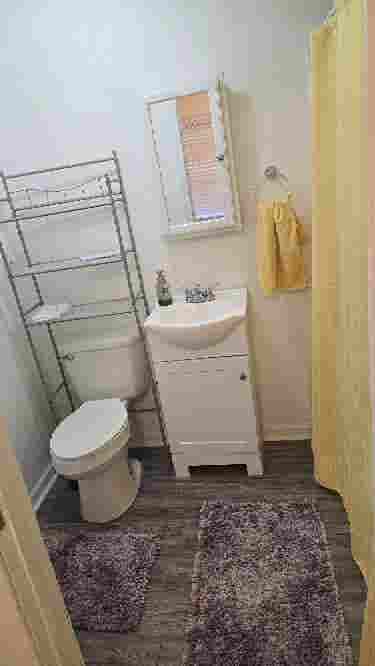Need a roomate!