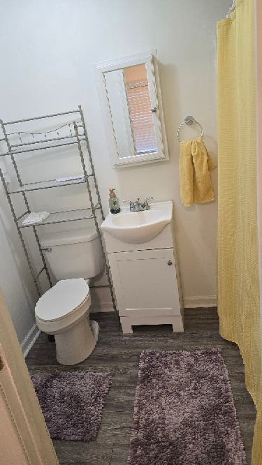 Need a roomate!