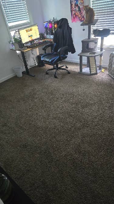 Need a roomate!