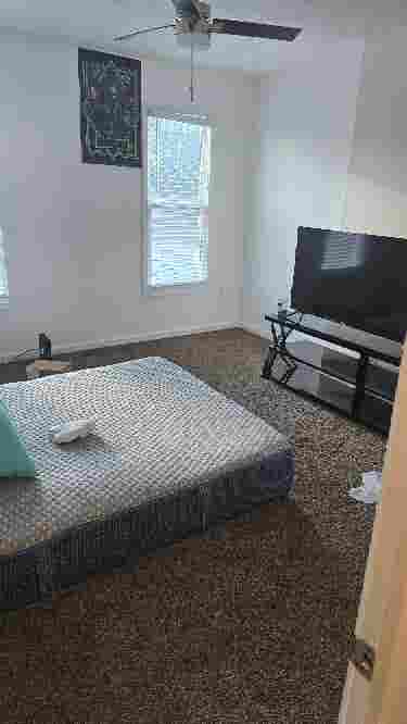Need a roomate!