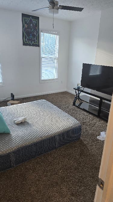 Need a roomate!