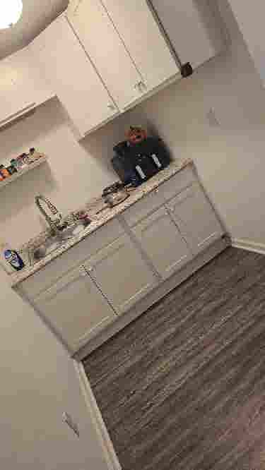 Need a roomate!