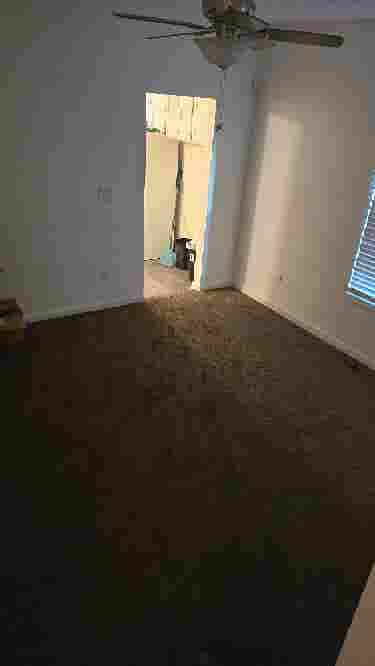 Need a roomate!