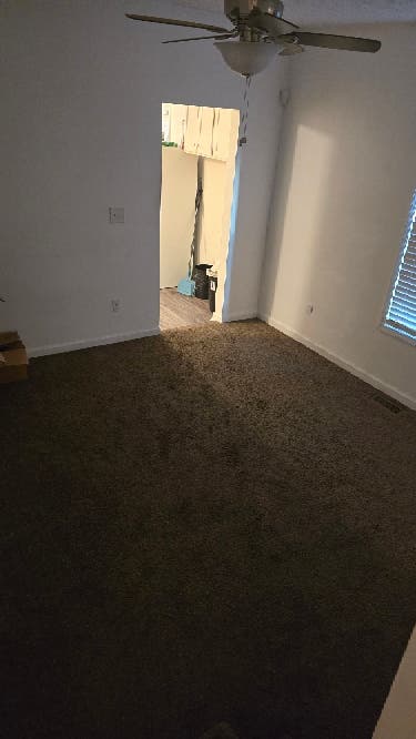 Need a roomate!