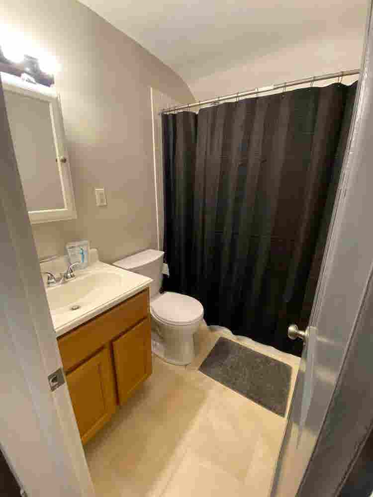 Professional Looking for Roommate