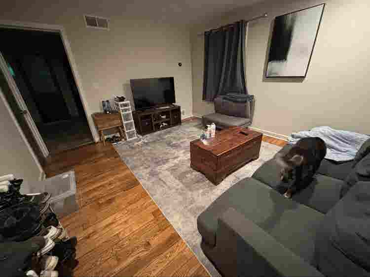 Professional Looking for Roommate