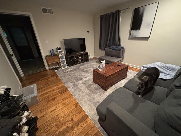 Professional Looking for Roommate