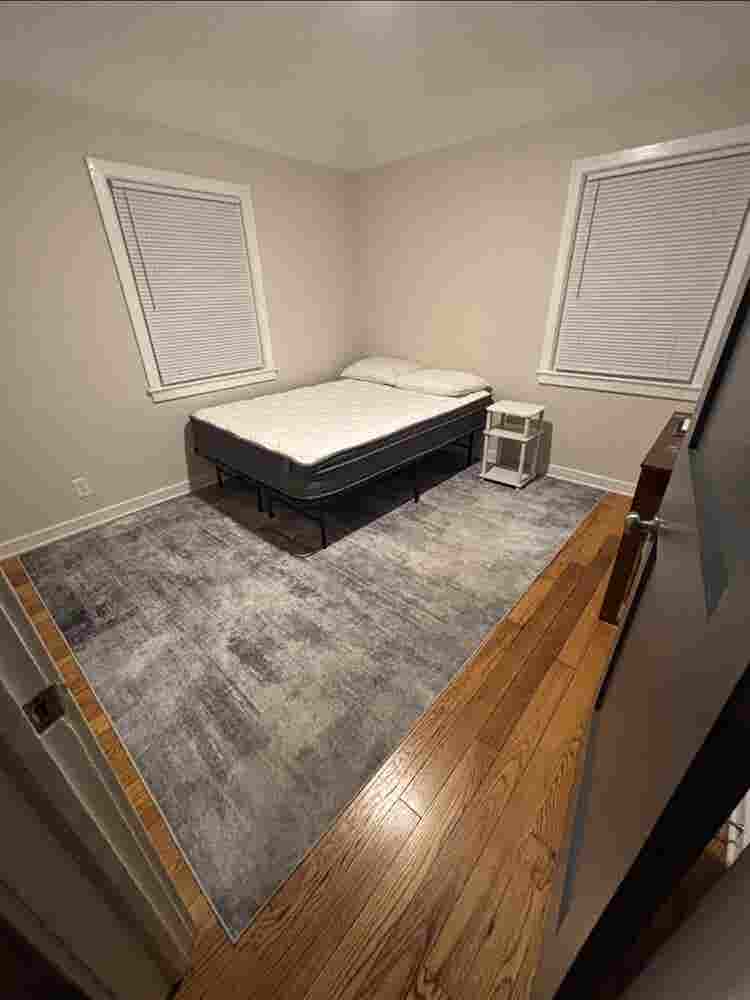 Professional Looking for Roommate