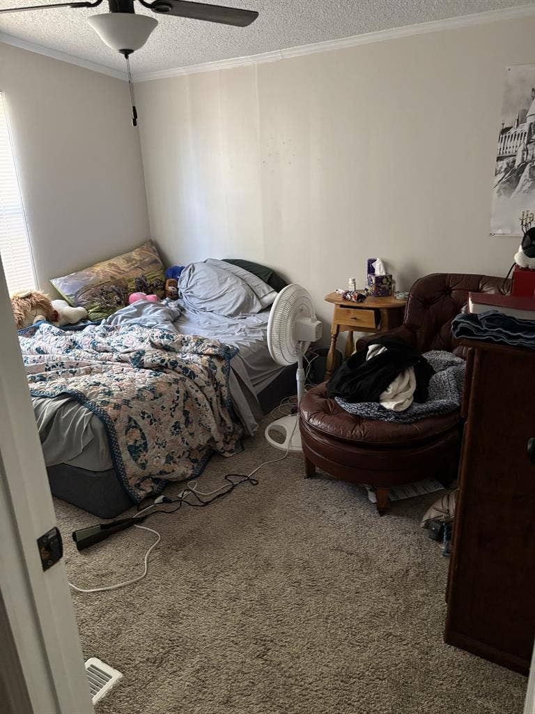 Looking for Roommate