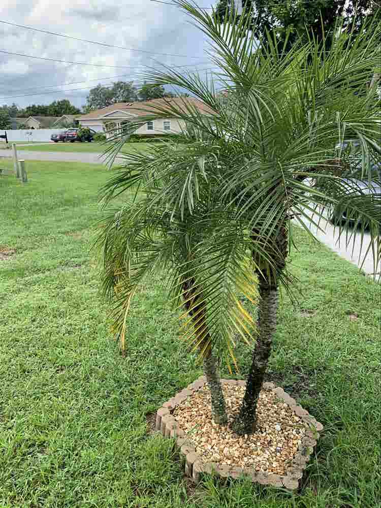 Bedroom for Rent - 5 Minutes to UCF