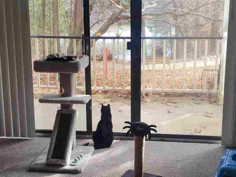 Sublet for /mo lease