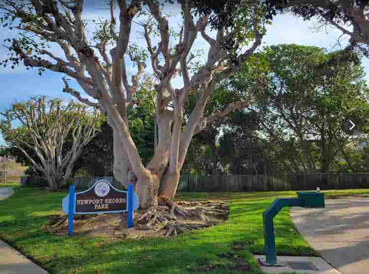 Newport Beach Room for Rent