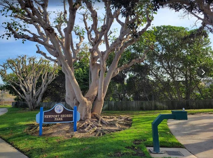 Newport Beach Room for Rent