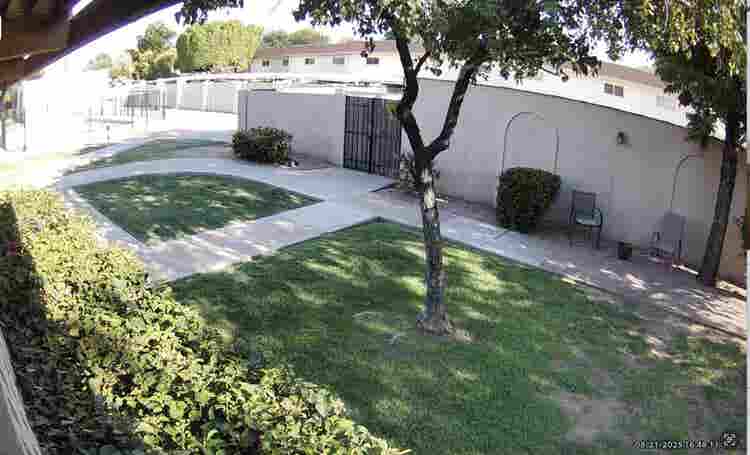 Looking for a female roommate