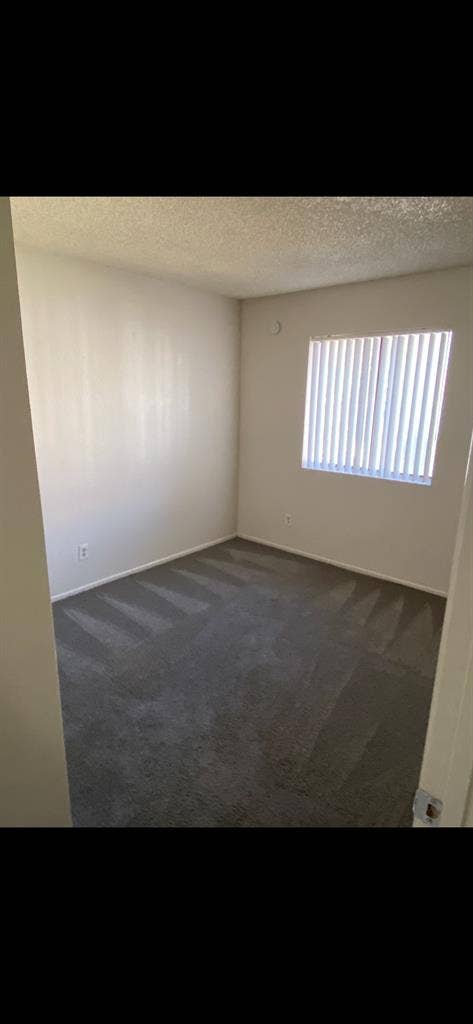 Room for rent!