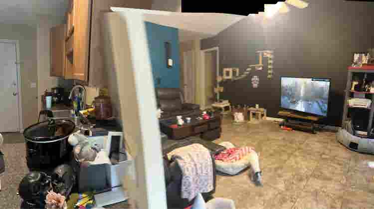 Searching for Roommate