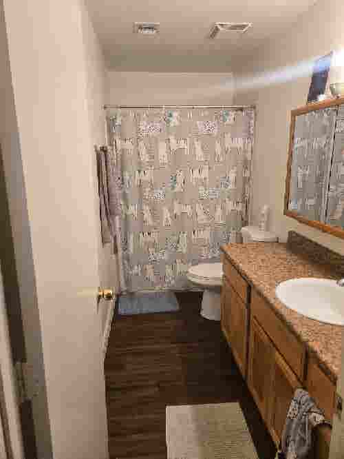 Roommate needed in b townhome