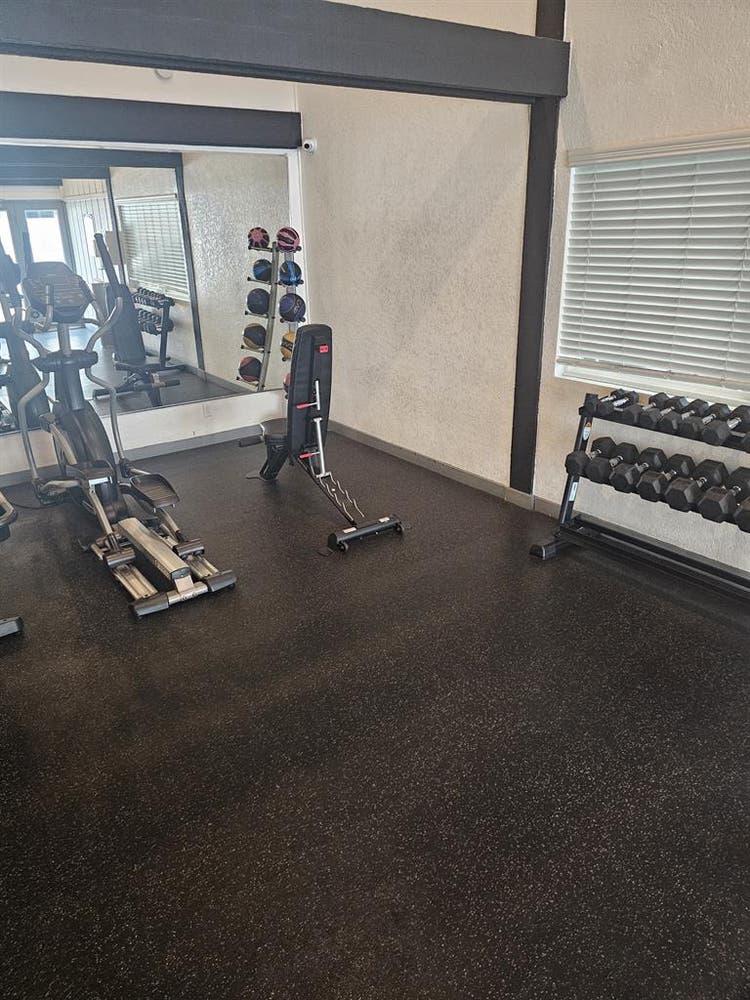 Room available at the first of Octo