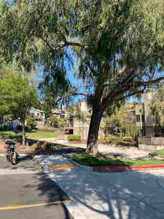 Larkspur Courts