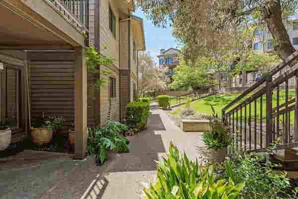 Larkspur Courts