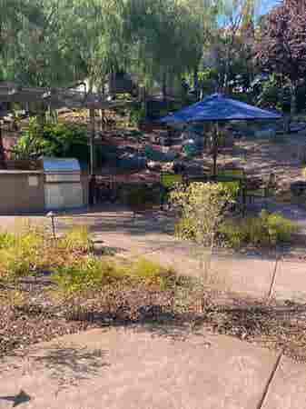 Larkspur Courts